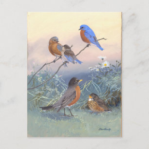 Vintage Blauwborst en Roodborst Briefkaart