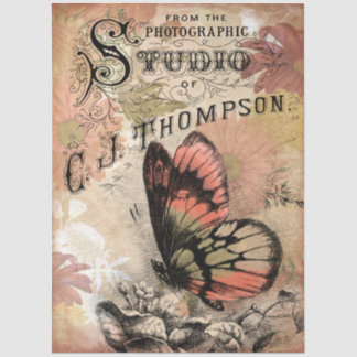 Vintage bloem vlinder fotografische studio achterg tissuepapier