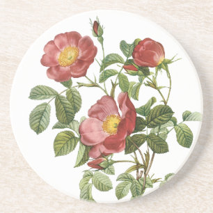 Vintage Bloemen Bloem Rode Roos van de Liefde door Zandsteen Onderzetter
