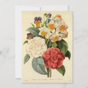 Vintage Bloemen, Camelia's en Narcissen, Redoute