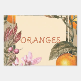 Vintage Bloemen en Sinaasappels Inpakpapier Vel