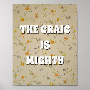 Vintage bloemendecor Ierse poster The craic is mig
