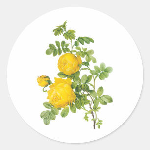 Vintage bloemige bloemen, gele rozen door Redoute Ronde Sticker