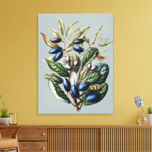Vintage Blue Fruit Botanical Sarah Featon Kunst Canvas Afdruk