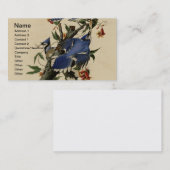 Vintage Blue Jay Visitekaartje (Voorkant / Achterkant)