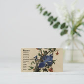 Vintage Blue Jay Visitekaartje (Staand voorkant)