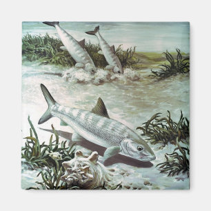 Vintage Bonefish Underwater Scene Magneet