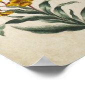 Vintage Botanique Floral Mur Impression (Coin)