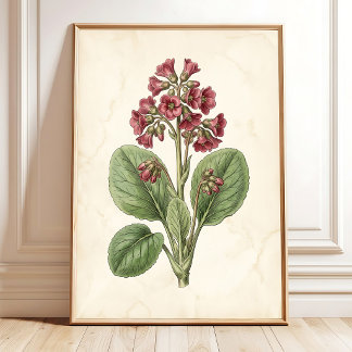 Vintage Botanische Boerderij Muurdecoratie - Antie Poster
