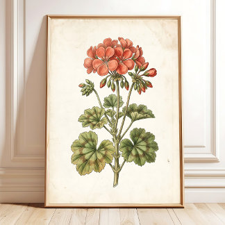 Vintage Botanische Geranium Huisdecoratie Poster