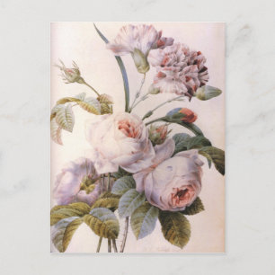 vintage botanische illustratie, roze roos briefkaart