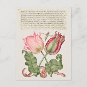 Vintage Botanische illustratie Vakantiek Briefkaar Feestdagenkaart