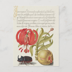 Vintage Botanische illustratie Vakantiek Briefkaar Feestdagenkaart