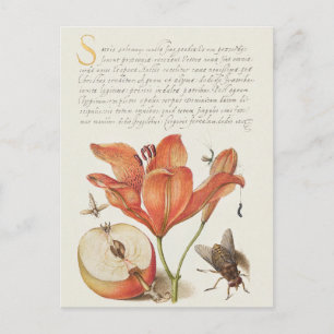 Vintage Botanische illustratie Vakantiek Briefkaar Feestdagenkaart