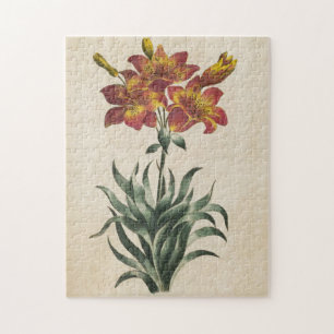 Vintage Botanische Lily Legpuzzel