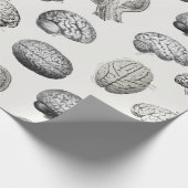 Vintage Brain Anatomy Biology Illustrations Cadeaupapier (Hoek)