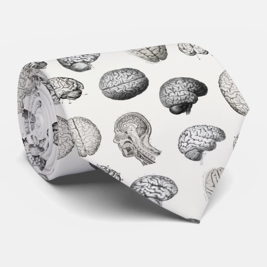 Vintage Brain Anatomy Biology Illustrations Stropdas (Opgerold)