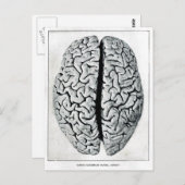 Vintage Briefkaart (Voorkant / Achterkant)