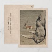 Vintage Briefkaart Rhino (Voorkant / Achterkant)