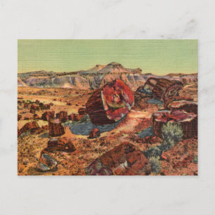 Vintage Briefkaart van Petrified Forest