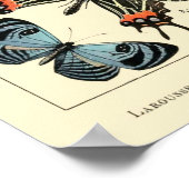 Vintage Butterflies van Adolphe Millot Poster (Hoek)