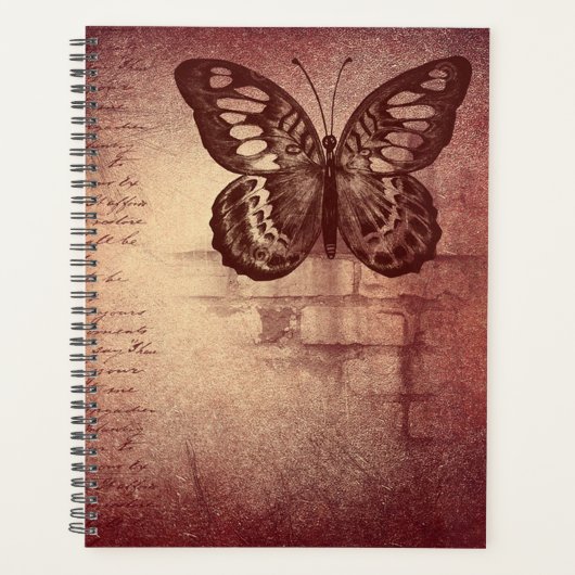 Vintage Butterfly (Devant)