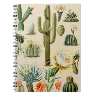 Vintage Cactus   Spiraal Notebook Notitieboek