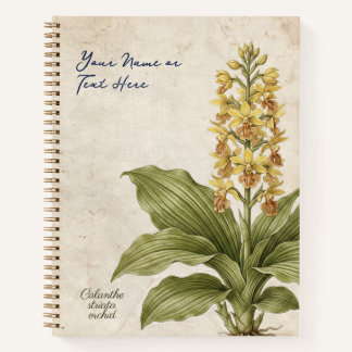 Vintage Calanthe Striata Botanische Fraude Notitieboek