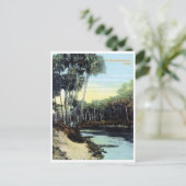 Vintage Caloosahatchee Briefkaart (Staand voorkant)