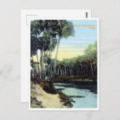 Vintage Caloosahatchee Briefkaart (Voorkant / Achterkant)