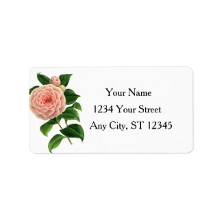 Vintage Camellia Botanisch Etiket