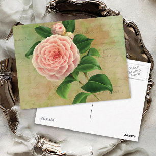 Vintage Camellia French Botanical Briefkaart