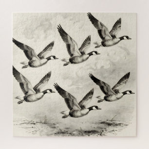 Vintage Canadese ganzen in vlucht gravure Legpuzzel