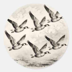 Vintage Canadese Ganzen in Vlucht Gravure Ronde Sticker