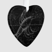 Vintage Cancer Constellation Map Hevelius 1690 (devant)