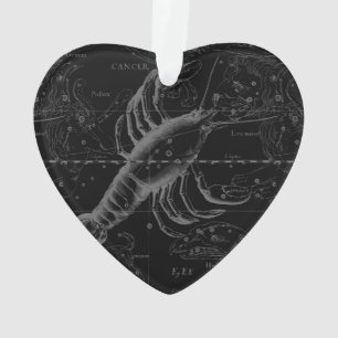 Vintage Cancer Constellation Map Hevelius 1690