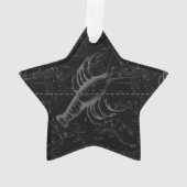 Vintage Cancer Constellation Map Hevelius 1690 (dos)