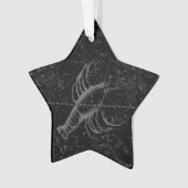 Vintage Cancer Constellation Map Hevelius 1690 (devant)