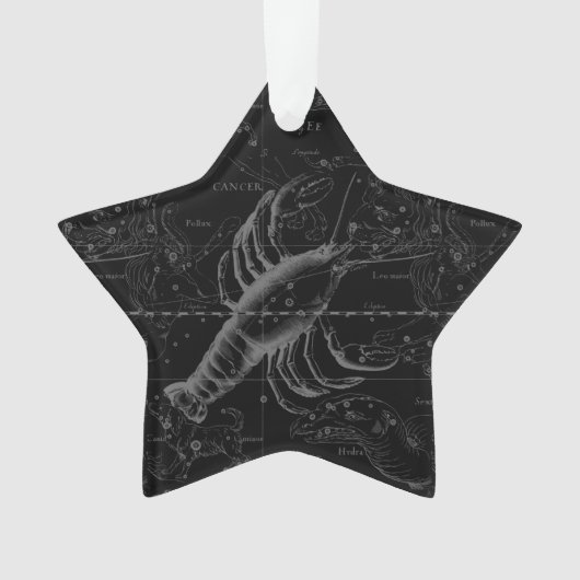 Vintage Cancer Constellation Map Hevelius 1690 (devant)
