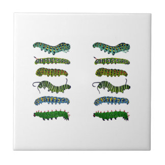 Vintage Caterpillar Illustration Mug  Tegeltje