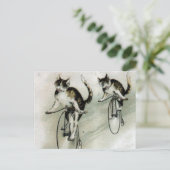 Vintage Cats on Bikes Briefkaart (Staand voorkant)
