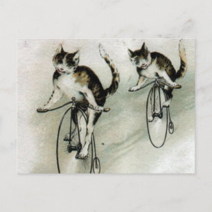 Vintage Cats on Bikes Briefkaart