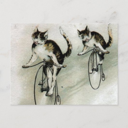 Vintage Cats on Bikes Briefkaart (Voorkant)