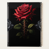 Vintage Céleste Soleil & Lune (Dos)