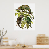 Vintage Chameleon Lizard Poster (Keuken)