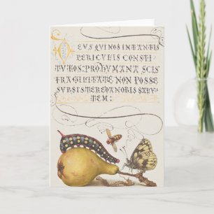 Vintage Chic Calligrafie vlinderprint Kaart