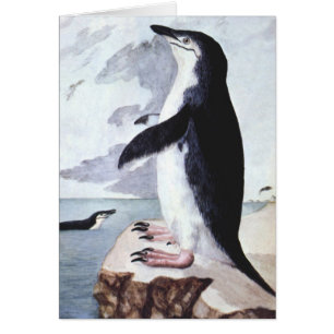 Vintage Chinstrap Penguin, Birds from Antarctica