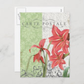 Vintage Christmas-Amaryllis briefkaart (Voorkant / Achterkant)