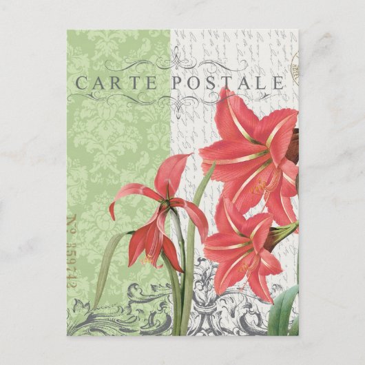 Vintage Christmas-Amaryllis briefkaart (Voorkant)