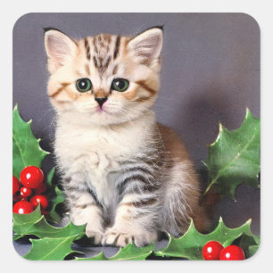 Vintage Christmas Kitten en Holly Vierkante Sticker